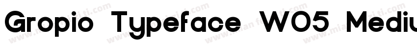 Gropio Typeface W05 Medium字体转换